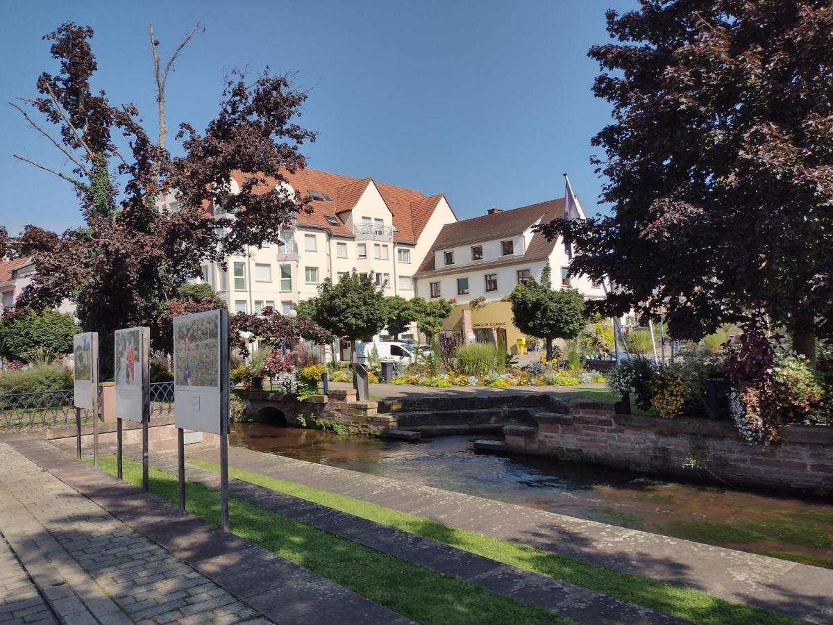 Charmant Studio Classe 3 Etoiles Au Coeur De Niederbronn-Les-Bains Luaran gambar